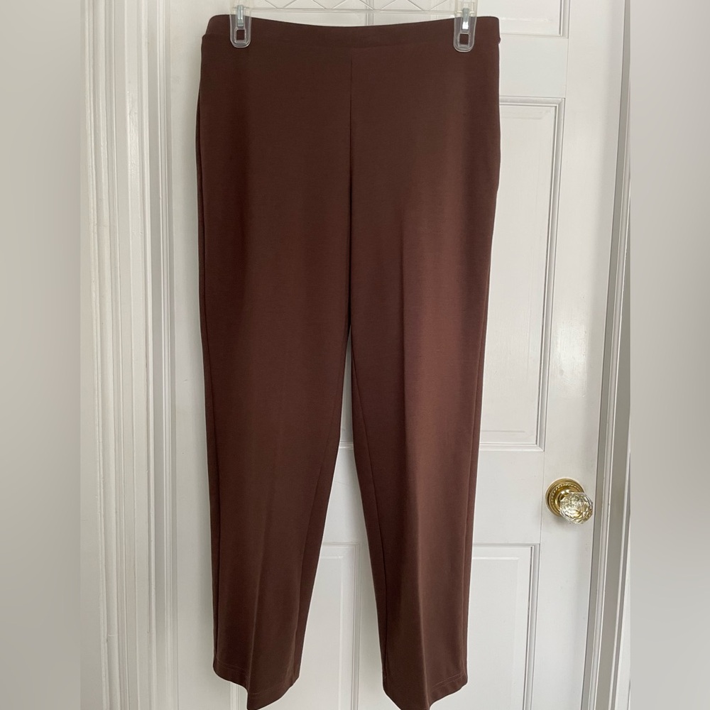 Brown Trousers with Smooth Texture and Wide Waistband